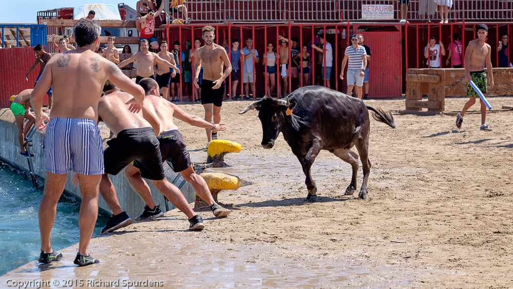 Travel Photography - travel Photograher - images from a bull running festiveal in the port of Javea Spain